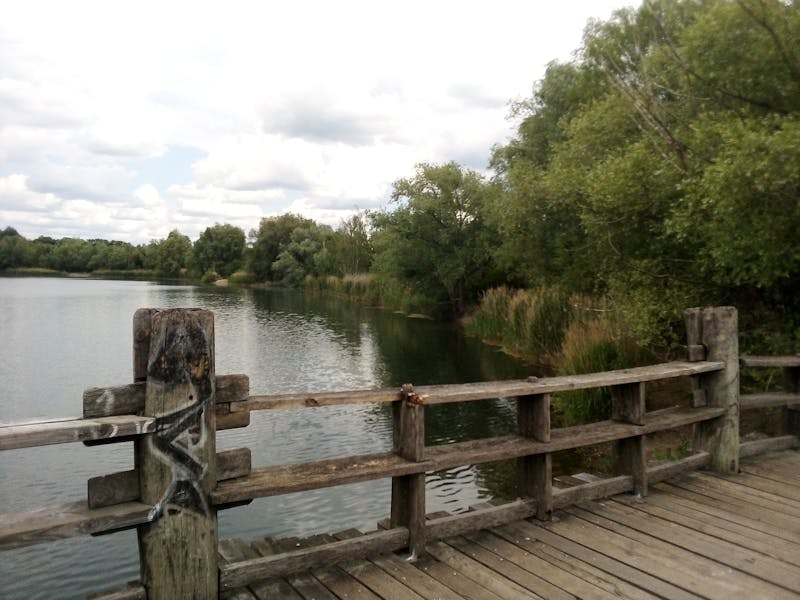 Grape must beginning to ferment